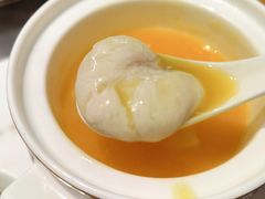 -鲐赏河豚(长寿店)