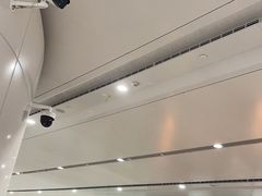 -麦当劳(北京大兴机场二层国内到达(安检外)店)