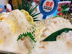 鲈鱼刺身-谊荣海鲜大牌档(石湖店)