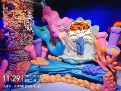 -海合安天津极地海洋公园