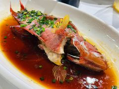 -月湖翠·上海菜(思南公馆淮海店)
