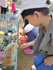 -前小桔亲子创意农场·草莓采摘·露营烧烤
