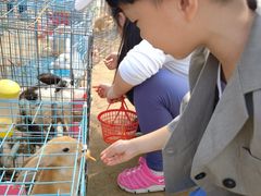 -前小桔亲子创意农场·草莓采摘·露营烧烤