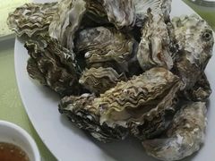 海蛎子-宏源鑫海鲜餐厅·海景婚宴厅(石老人店)