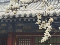 -潭柘寺景区
