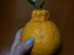 -全而廉(靖宇中路店)