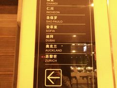 -碧桂园空港凤凰酒店(广州新白云机场店)