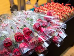 -上海嘉里健身Kerry Sports Shanghai