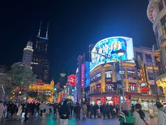 -沈大成(南京东路店)