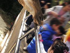 -泉州海丝野生动物世界