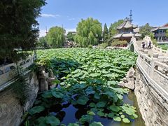 -莲池书院博物馆