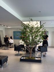-付军剪艺JF ProSalon