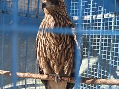 -栾川竹海野生动物园