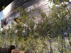 -蜜桃餐厅·江浙融合菜(荟聚购物中心店)