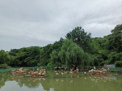 -宁波野生动物园