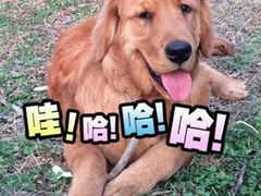 -万达广场(大明宫店)