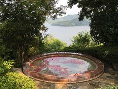 -天目湖涵田半山温泉