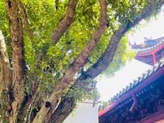-阿育王寺