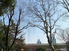 -静安公园(静安寺街道)