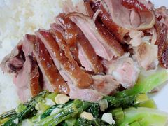 -乌文新澄海卤鹅店