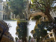 -赤坎·广东华侨国际旅游度假区