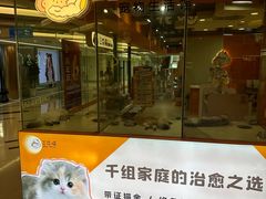 -三花喵·撸猫购宠·宠物生活馆(虹桥南丰城店)