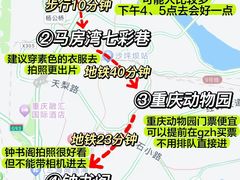 -重庆十八梯传统风貌区