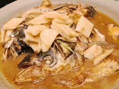 鱼头泡饼-双井轩(双井店)