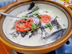-全乐鱼馆·淳牌有机鱼直营店