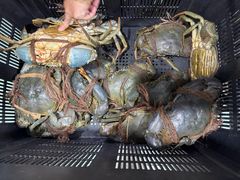 -無招牌海鮮(芽笼店)