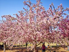 -永定河休闲森林公园