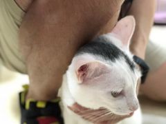 -瑞鹏宠物医院·骨科·猫科·内科(第一中心)