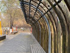 -长白岛森林公园