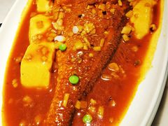 年糕烧黄鱼-淮扬韵(凤八市政府店)