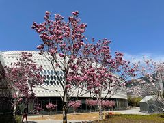 -北京园博大酒店