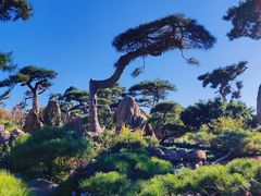 -罗红摄影艺术馆