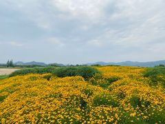 -良渚古城遗址公园