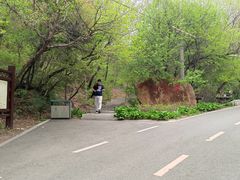 -吉林市朱雀山国家森林公园