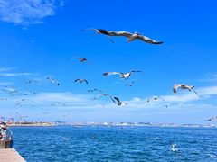 -东港音乐喷泉广场