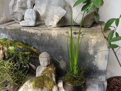 -植觉