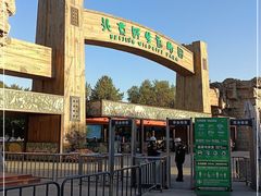 -北京野生动物园