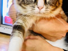 -白兔子密室(长寿路店)