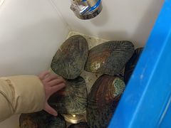 -蚌精BangGem·手工DIY(园区店)
