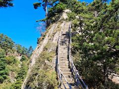 -内乡宝天曼生态旅游区