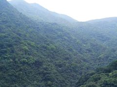 -梧桐山风景名胜区