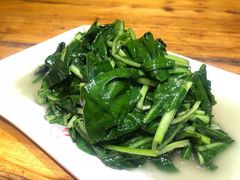 素炒板蓝根-老滇山寨•云南特色菜•地方菜•民族风情歌舞表演(金碧店)