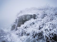 -北京西山国家森林公园