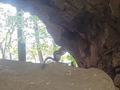 -五女峰国家森林公园