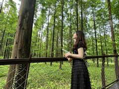 -黄海国家森林公园