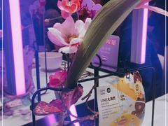 -哈根达斯(滨江店)